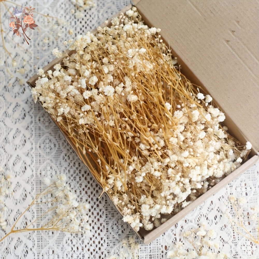 Embellish Craft - 100 Pezzi Mini Fiori Secchi di
