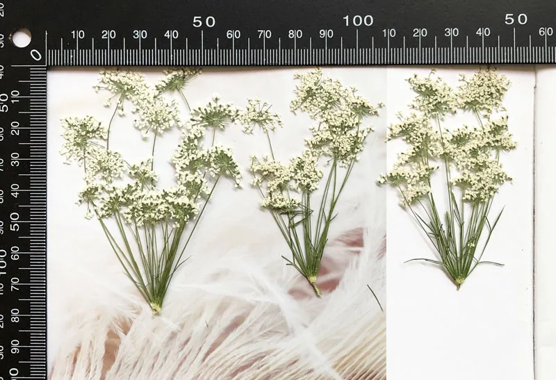 5-7 cm/12 pezzi, piccoli fiori - Craft Embellishments recensione e prezzo