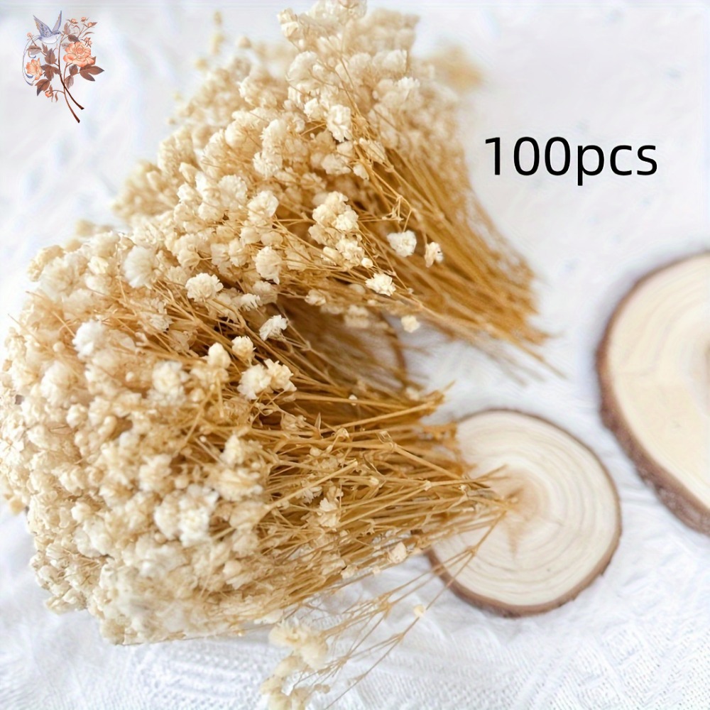 100 Pezzi Mini Fiori Secchi di - Embellish Craft recensione e prezzo