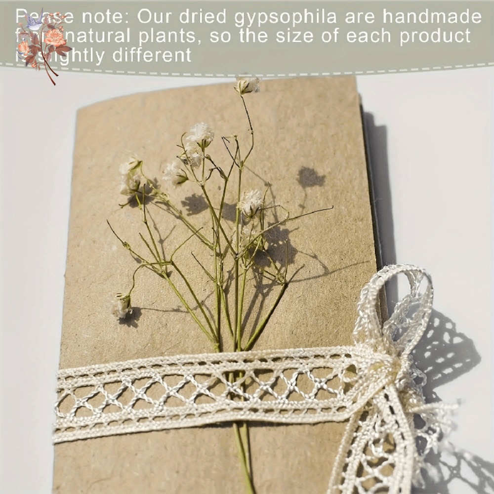100 Pezzi Mini Fiori Secchi di - Embellish Craft recensione e prezzo